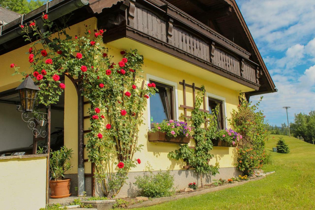 Ferienwohnung Claudia Faistenau Buitenkant foto